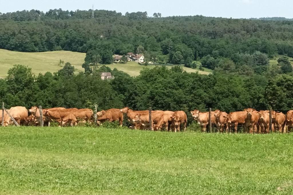 Gite Aux Vieux Bois Lunas  Exterior foto